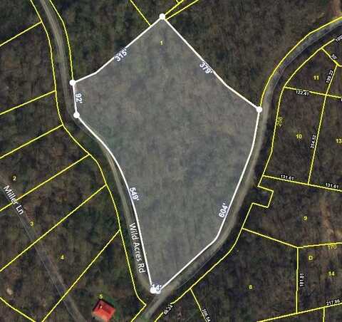 5 ACRES SCHELLEY ROAD, GAINESBORO, TN 38562