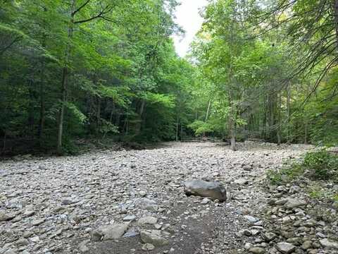 Lot 43 E Bobcat Lane, WILDER, TN 38589