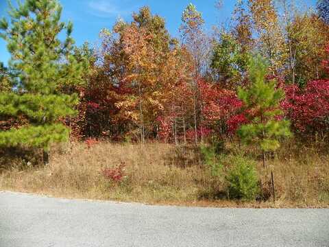 Lot 14 Valley View Ln, Spencer, TN 38585