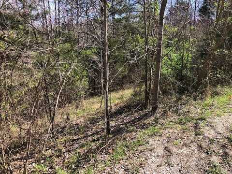 Lot 9 Livingston Hwy, MONROE, TN 38573