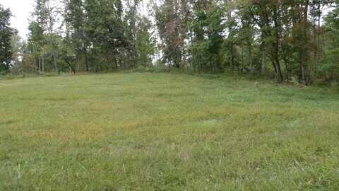 Lot 1 Back Bone Rd, SPARTA, TN 38583