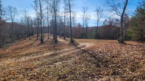 50 AC Off Hwy 558, Albany, KY 42602