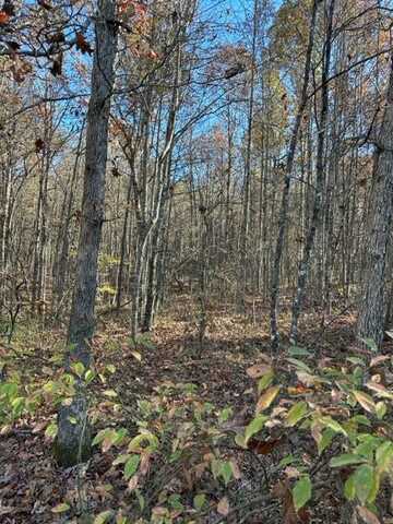 Lot 94 Parkstown Road, WILDER, TN 38589