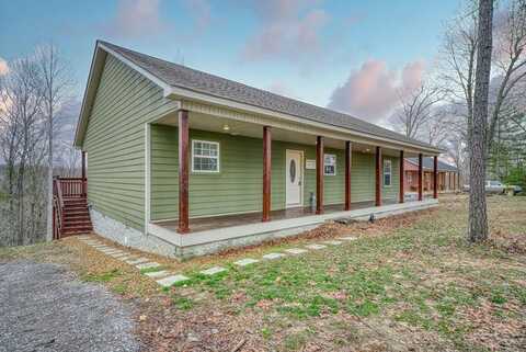 225 Antler Drive, SMITHVILLE, TN 37166