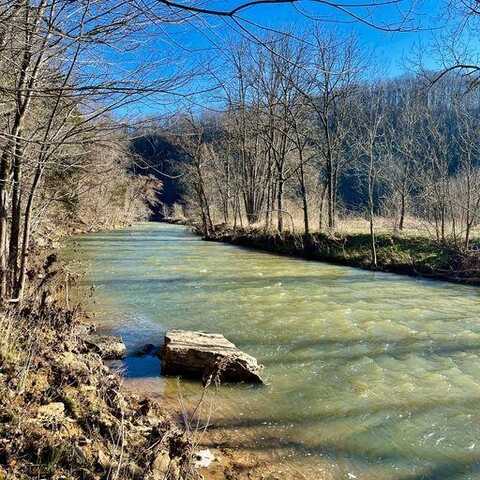 78.35 AC Blackburn Fork Rd, GAINESBORO, TN 38544