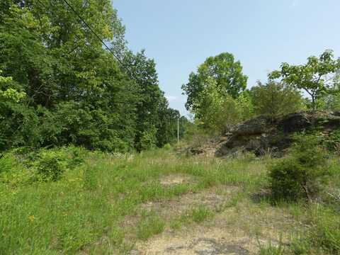 5ac Old Livingston Hwy Loop, Celina, TN 38551