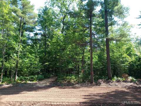 TBD White Pine (Lot 1), Marquette, MI 49855