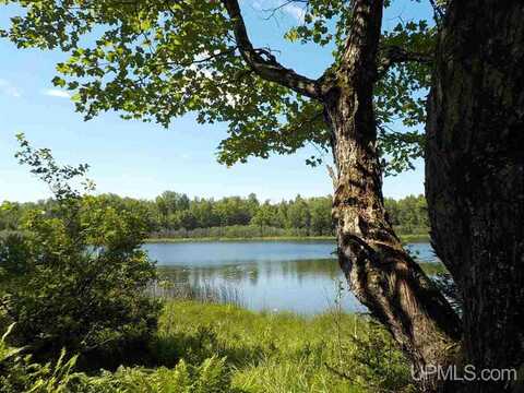 2.43 AC Maggie Lakes, Crystal Falls, MI 49920