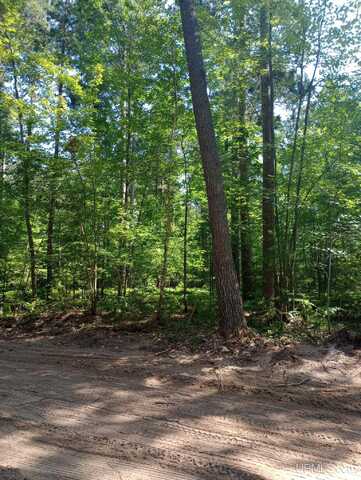 TBD White Pine (Lot 6), Marquette, MI 49855