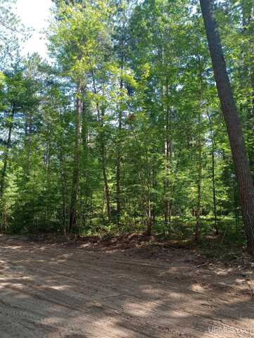 TBD White Pine (Lot 7), Marquette, MI 49855