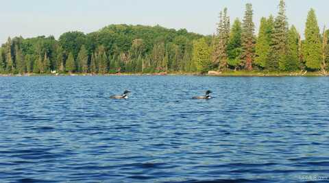 Lot 40F1 East Fence Lake, Michigamme, MI 49861