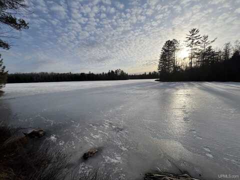 TBD Horseshoe Lake, Republic, MI 49879