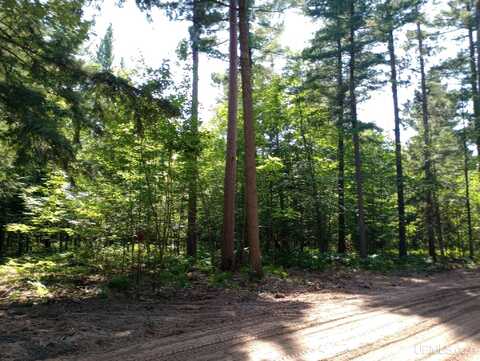 TBD White Pine (Lot 3), Marquette, MI 49855