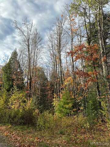 Lot 7 W Tamarack Lake, Watersmeet, MI 49969