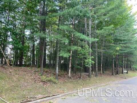 Elder Drive lot 9, Marquette, MI 49855