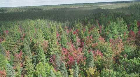 160 Acres Co Rd IAA, Michigamme, MI 49808