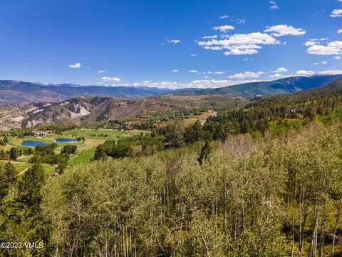 1025 Forest Trail, Edwards, CO 81632