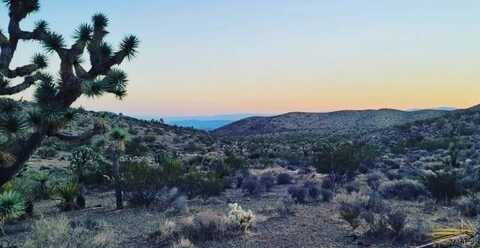 Lot 008 Lake Mead Estates, White Hills, AZ 86445