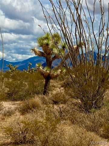 120 Acres S Dale Evans Road, Yucca, AZ 86438