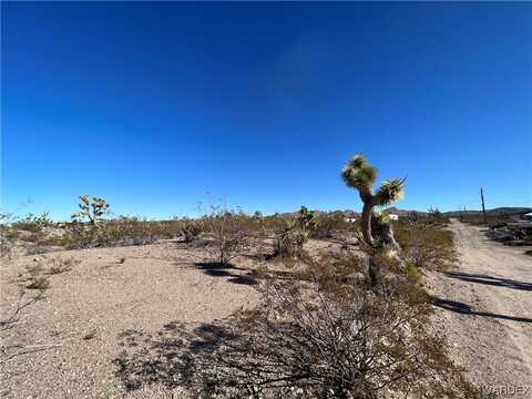 8595 W Wild Horse Drive, White Hills, AZ 86445