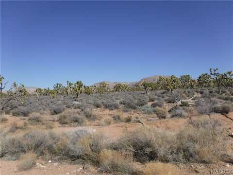 26916 N Rose Road, Meadview, AZ 86444