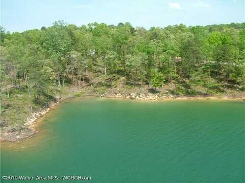 LOT # 54 FLAMINGO, Arley, AL 35541