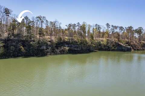 LOT 2 SLICK FORD (CO RD 61), Houston, AL 35572