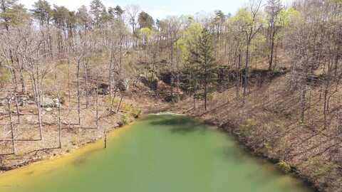 LOT 41 OSPREY AVE, Arley, AL 35540