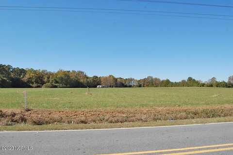 1 Beaman Old Creek Road Road, Walstonburg, NC 27888