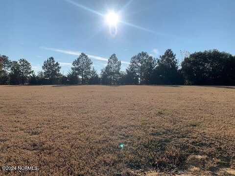3517 South Meade Place NW, Wilson, NC 27896