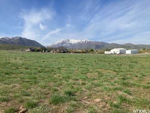 784 E RIDGE VIEW DR, Salem, UT 84653