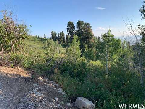 23285 N HILLSIDE DR, Fairview, UT 84629