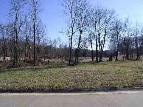 Lot 29 & Half of 28 Eagle Drive, Benton, KY 42025