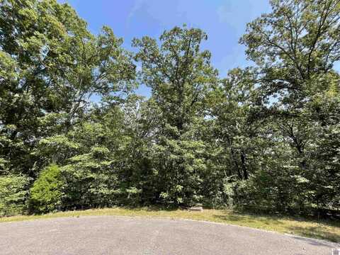 Hill Top Drive, Murray, KY 42071
