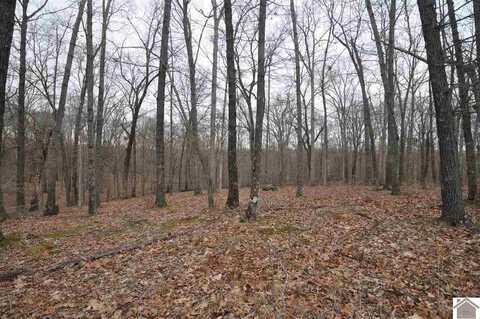 00 Hills Hollow Road, Lot 20, Murray, KY 42071