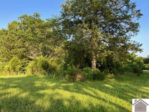Lot 96 Briarfield Road South, Murray, KY 42071