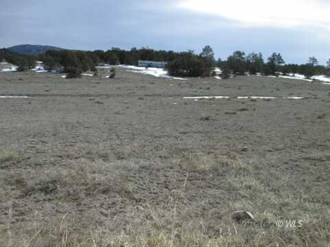 1382 Chinook Dr, Canon City, CO 81212