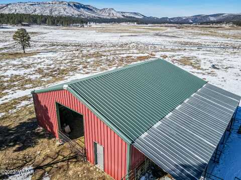 42856 US Highway 180, Alpine, AZ 85920