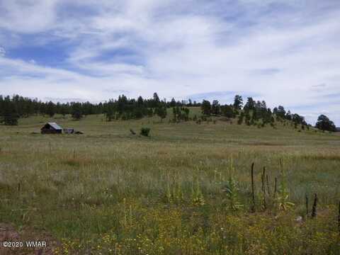 LOT 33 The Ranch At Alpine, Alpine, AZ 85920