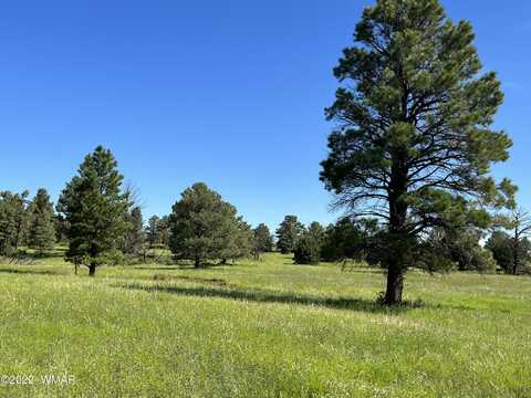 TBD County Road N1334, Greer, AZ 85927