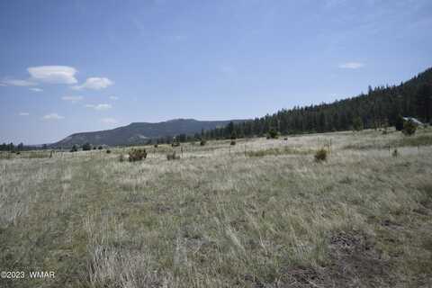 TBD CR 2275 1.22 Acre, Nutrioso, AZ 85932