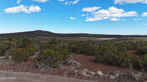 71 County Rd N8225, Concho, AZ 85924