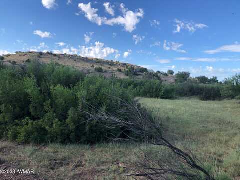 TBD N6426, Saint Johns, AZ 85936