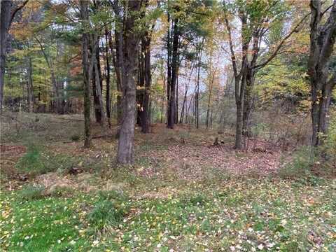 0 Country Club Road, Pine Grv Mls, PA 16127