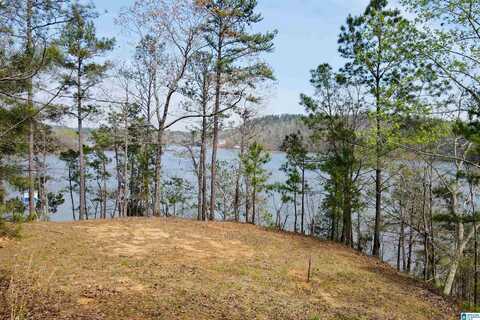 87 WATER SPRING COURT, ROCKFORD, AL 35136