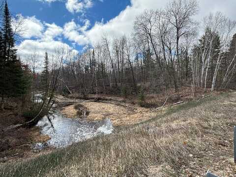 New Trail, Gladwin, MI 48624