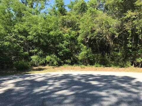 3434 Kit Freeman Lane, Johns Island, SC 29455