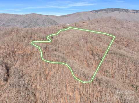 99999 Poplar Creek Road, Green Mountain, NC 28740