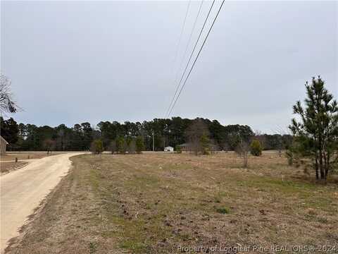 Tract 3 Matilda Road, Lumberton, NC 28360