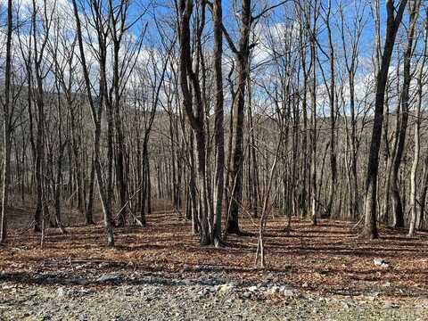 Lot C45 Roaming Road, Glenville, NC 28736